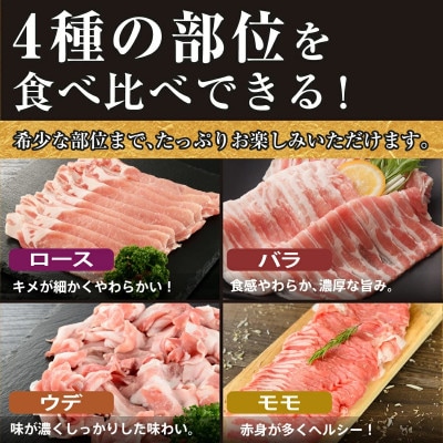 沖縄あぐー しゃぶしゃぶ ロース・バラ・ウデ・モモ食べ比べセット(1.2kg)