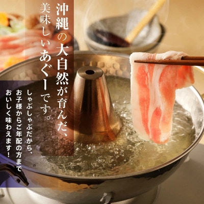 沖縄あぐーしゃぶしゃぶ食べ比べまんぷくセット(2.8kg)