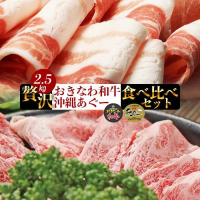 沖縄あぐー&おきなわ和牛の贅沢食べ比べセット(2.5kg)