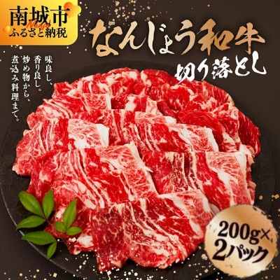 【なんじょう和牛】切り落とし(200g×2パック)