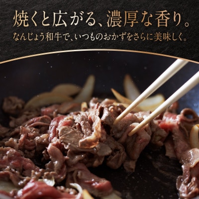 【なんじょう和牛】切り落とし【200g×2パック】