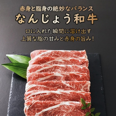【なんじょう和牛】すき焼きしゃぶしゃぶ用スライス(200g×2パック)