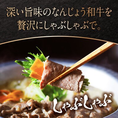 【なんじょう和牛】しゃぶしゃぶ用スライス【200g×2pc】
