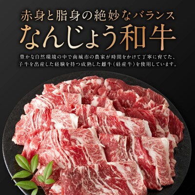 切り落としセット(なんじょう和牛・あぐー豚)計500g
