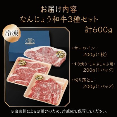 沖縄県産　黒毛和牛　なんじょう和牛 3種セット(約600g)