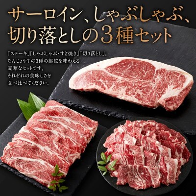 沖縄県産　黒毛和牛　なんじょう和牛 3種セット(約1.2kg)