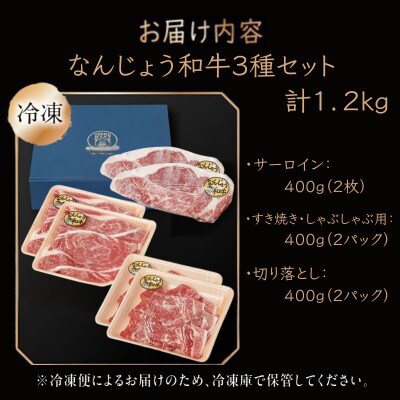 沖縄県産　黒毛和牛　なんじょう和牛 3種セット(約1.2kg)