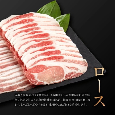 沖縄県産あぐー豚しゃぶしゃぶ用　ロース　500g(250g×2)