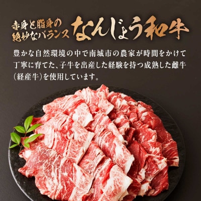 なんじょう和牛切り落とし　200g×4パック