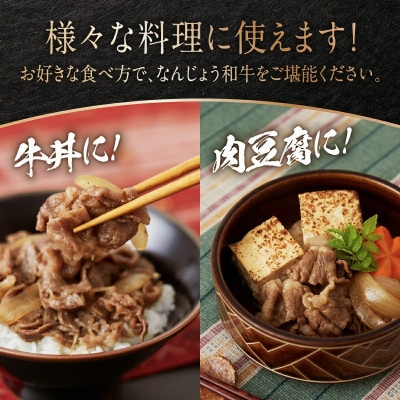なんじょう和牛切り落とし　200g×8パック