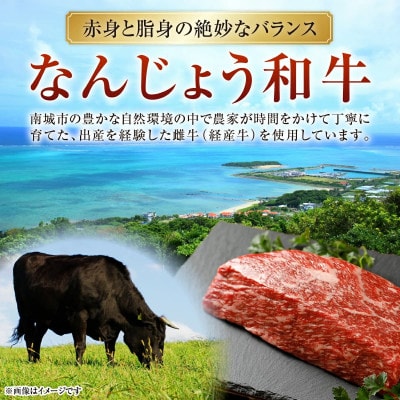 なんじょう和牛もも肉ブロック ローストビーフ用　250g×3P