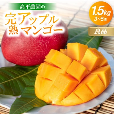【2026年6月から順次発送】高平農園の完熟アップルマンゴー良品 1.5kg(3～5玉)