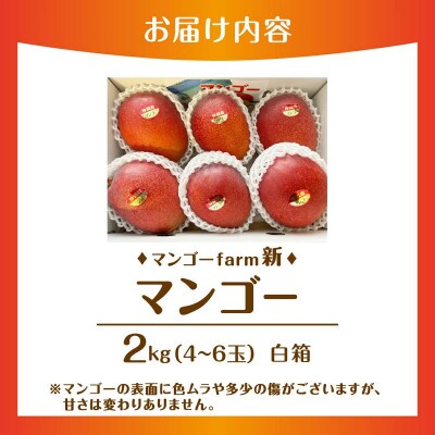 【2026年7月から順次発送・白箱】マンゴーfarm新の完熟マンゴー2kg