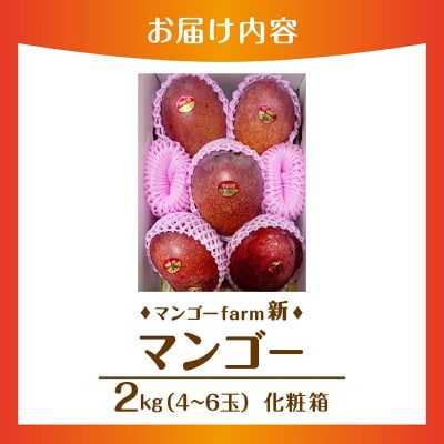 【2026年7月から順次発送・化粧箱】マンゴーfarm新の完熟マンゴー2kg
