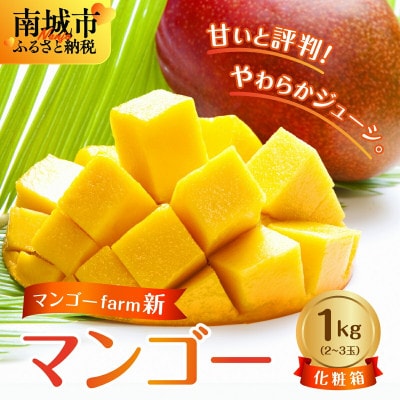 【2025年7月から順次発送・化粧箱】マンゴーfarm新の完熟マンゴー1kg