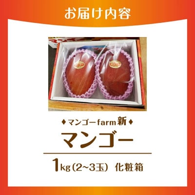 【2026年7月から順次発送・化粧箱】マンゴーfarm新の完熟マンゴー1kg