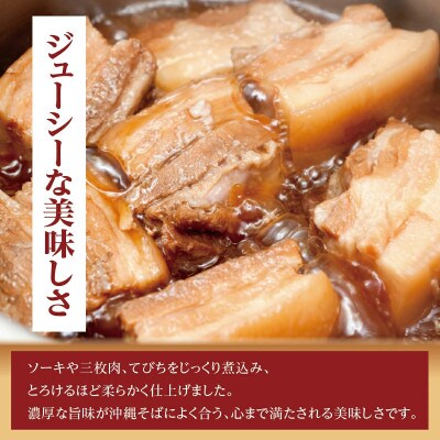 【人気の名店・そば処 玉家】ソーキそば　8人前(沖縄そば/南城市)