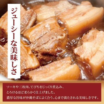 【毎月定期便】人気の名店・そば処 玉家　三枚肉そば(4人前)全3回