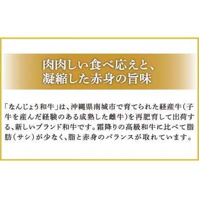 沖縄育ちのゴロっとお肉 黒毛和牛(なんじょう和牛) ビーフカリー