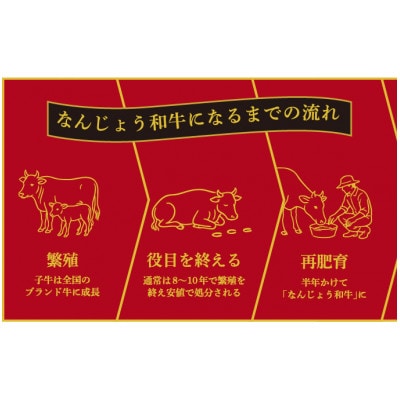 沖縄育ちのゴロっとお肉 黒毛和牛(なんじょう和牛) ビーフカリー