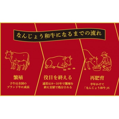 沖縄育ちのゴロっとお肉 黒毛和牛(なんじょう和牛) ビーフシチュー　3パック