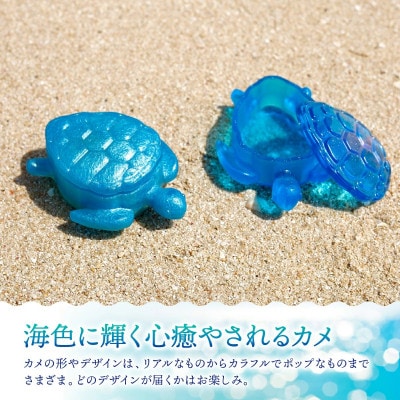カメボックス