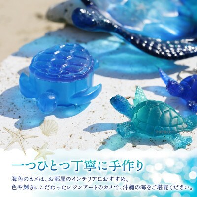 カメボックス