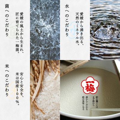 一梅酢 四国のおいしい手造り酢6本セット プロの味