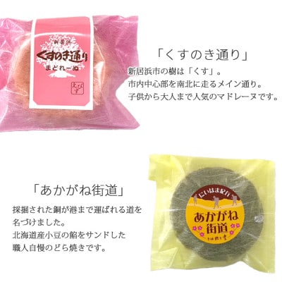 新居浜市地域共有ブランド製品『皇居の楠公さん』「忠臣最中」とお薦め焼き菓子詰合せ 菓舗蛭子堂