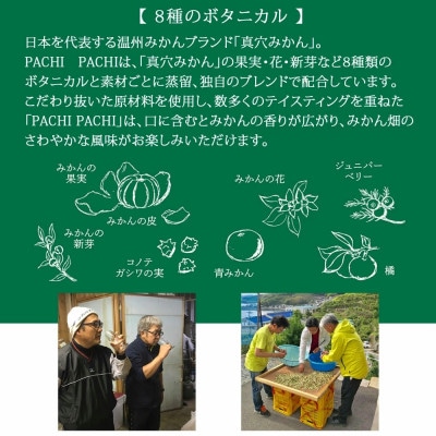 【のし付き】愛媛県のみかんジン誕生! 「PACHIPACHI ジン」と「愛媛みかんde酒」セット