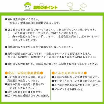 しいたけ栽培キット　にょきっと　4個セット