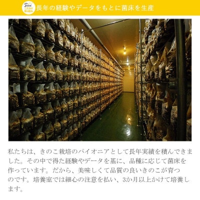 厳選!新居浜産菌床生しいたけ 約1kg