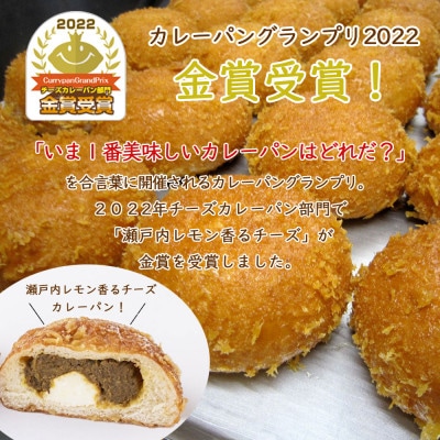 カリットカリー 6個 (3種×2個) 詰合せ