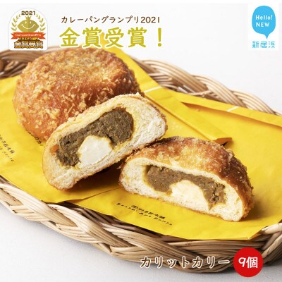 カリットカリー 9個(3種×3個) 詰合せ