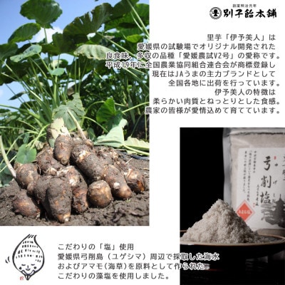 甘くない里芋かりんとう ポリポーリ 6種11袋 詰め合わせセット(5