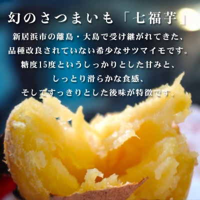 【先行受付】新居大島の遺伝子を受け継ぐさつまいも 七福芋(白いも) 新居大島原産 本土栽培品 2kg