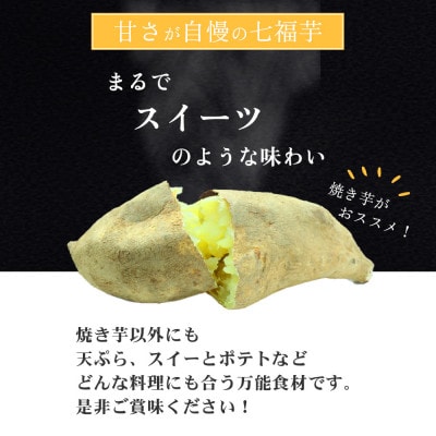 【先行受付】新居大島の遺伝子を受け継ぐさつまいも 七福芋(白いも) 新居大島原産 本土栽培品 2kg