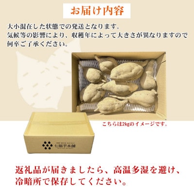 【先行受付】新居大島の遺伝子を受け継ぐさつまいも 七福芋(白いも) 新居大島原産 本土栽培品 2kg
