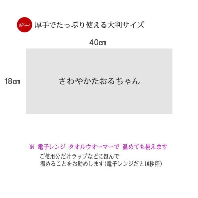 ウェットタオル 大判 厚手 さわやかたおるちゃん (詰め替え 150枚入) ×4個 【SPC】
