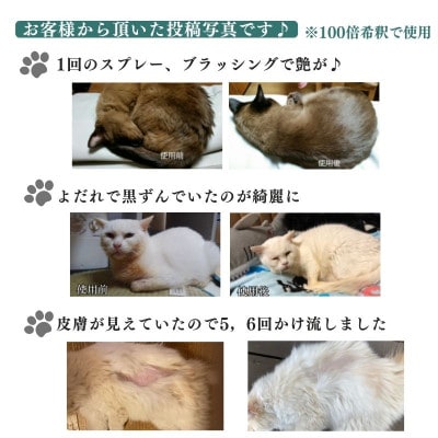 犬や猫など全てのペットの日常のお手入れや様々なお悩みに【あらいはま美容原液】クマ笹主体の希釈用原液