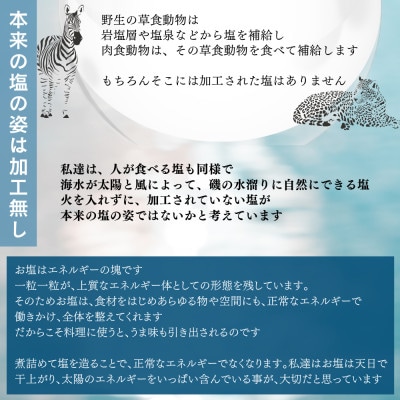 天日干し2年 火入れしない生の塩 「極楽塩」 1kg×20袋 金箔 貝カルシウム入り
