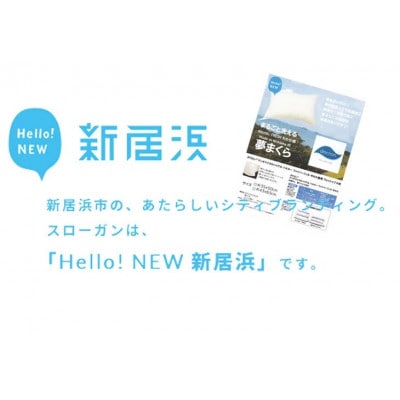 高性能ウォッシャブル「夢まくら」、清潔快適(R-35)丸洗いOK 枕 35x50cm