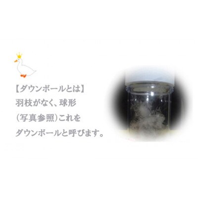 羽毛肌布団 ダウンケット セミダブルサイズ(S-02) ホワイトダウン85% 抗菌・防臭