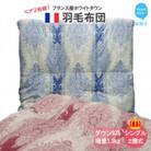 ペアでお届け!羽毛布団 シングル (G-07)フランス産ホワイトダウン93% 2層式 抗菌 防臭