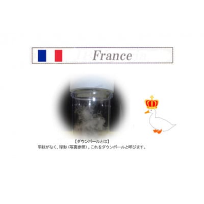 羽毛布団 ダブル (G-04)フランス産ホワイトダウン90% 2層式 抗菌 防臭