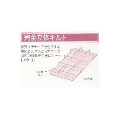 羽毛布団 シングル(G-09p) フランス産 ホワイトダウン 93% 完全立体キルト 抗菌 防臭