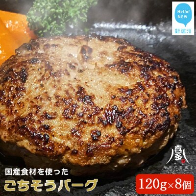 ハンバーグ 国産食材のごちそうバーグ(約120g×8個) 冷凍【お肉博士がいるお店】