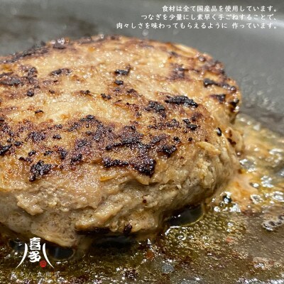 ハンバーグ 国産食材のごちそうバーグ(約120g×8個) 冷凍【お肉博士がいるお店】