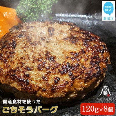 ハンバーグ 国産食材のごちそうバーグ(約120g×8個) 冷凍【お肉博士がいるお店】