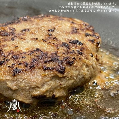 ハンバーグ 国産食材のごちそうバーグ(約120g×8個) 冷凍【お肉博士がいるお店】